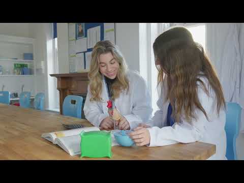 Head Teacher welcome - Mark Love