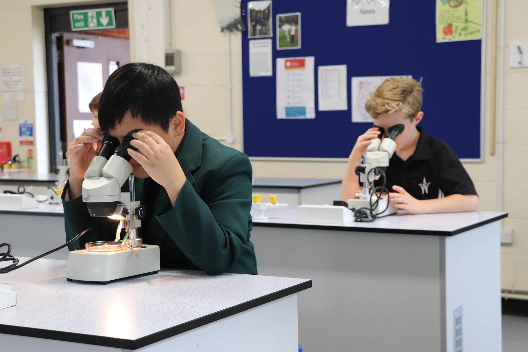 Box Hill School