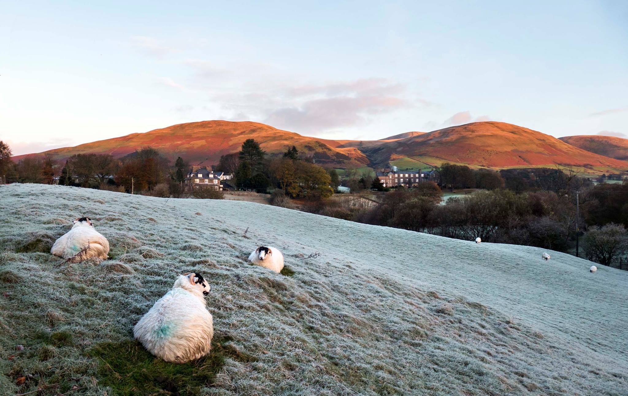 Sedbergh School