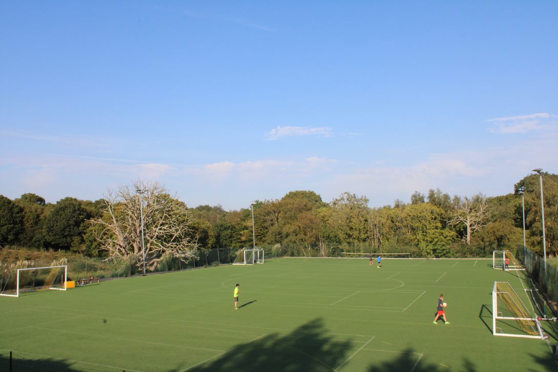 Buckswood School