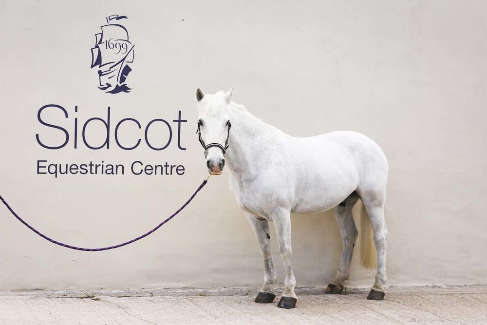 Sidcot School