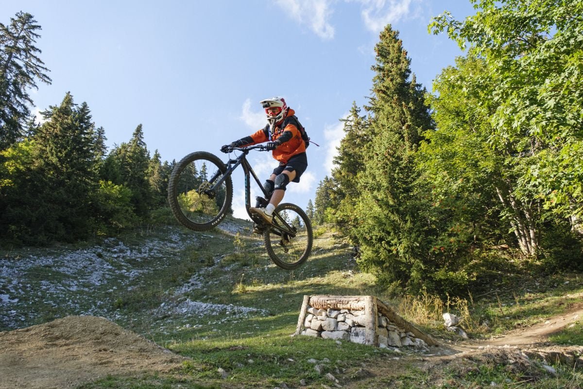 Leysin American School