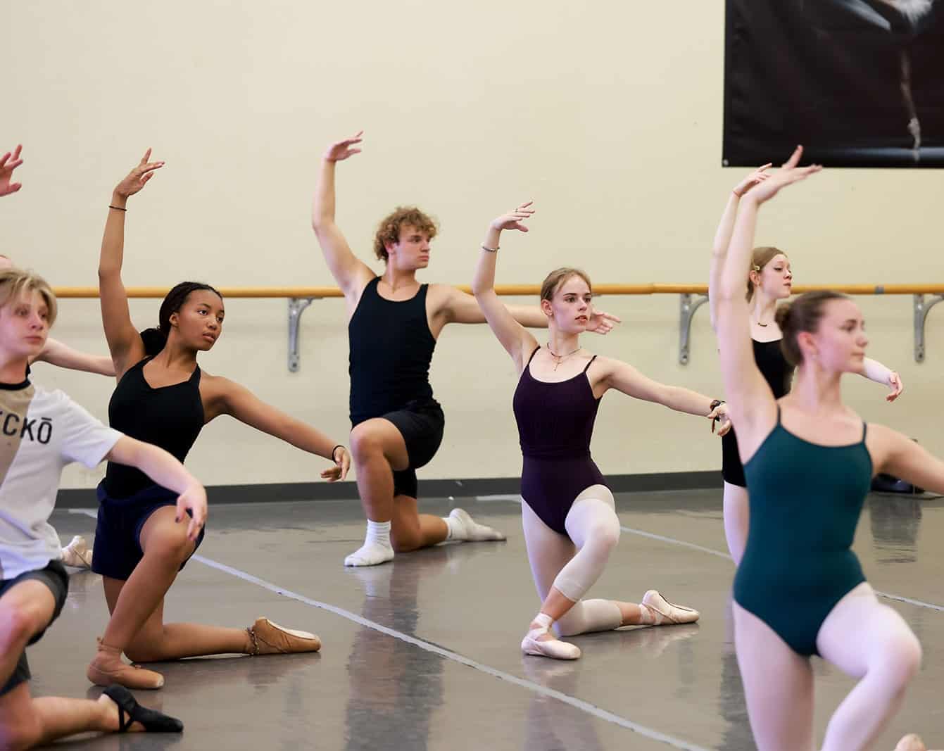 Idyllwild Arts Academy